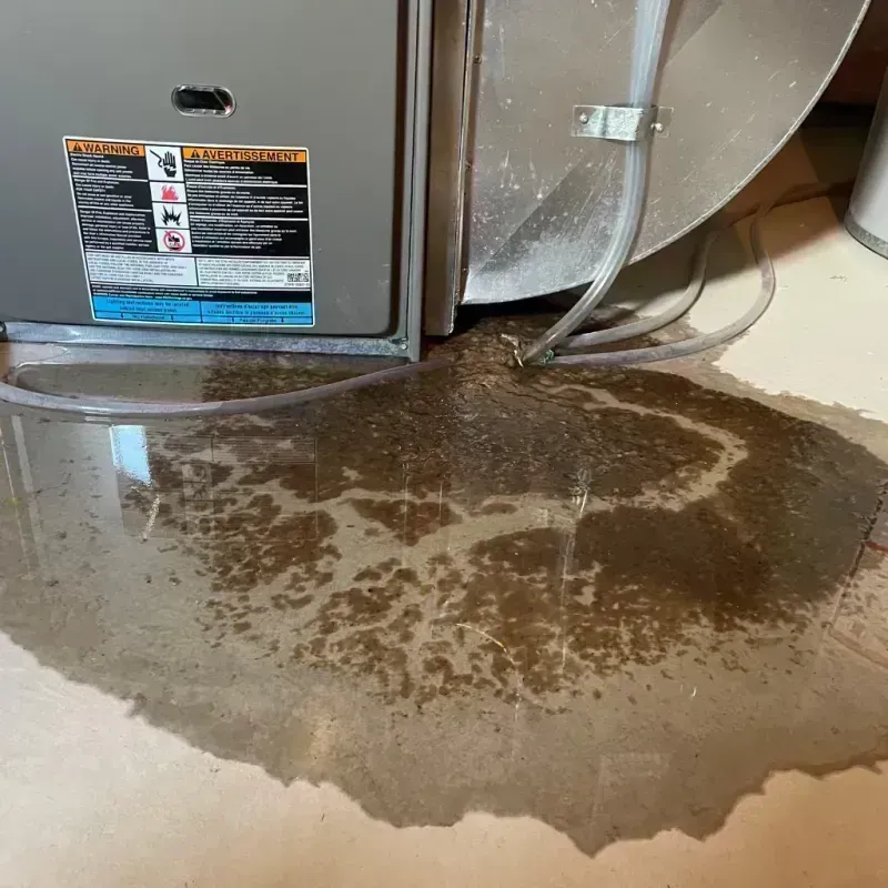 Appliance Leak Cleanup in Kerhonkson, NY